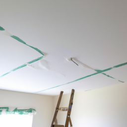 Faux plafond tendu : une finition impeccable pour votre plafond Sin-le-Noble